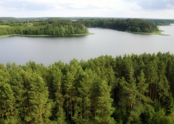 Пейзажи озера Сартай – фотографии Литвы