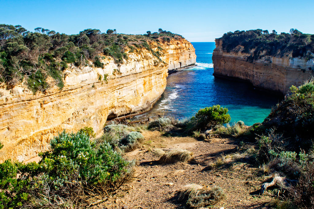 Необычные представители животного и растительного миров в Национальном парке Порт Кэмпбелл – фотографии Австралии