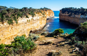 Необычные представители животного и растительного миров в Национальном парке Порт Кэмпбелл – фотографии Австралии