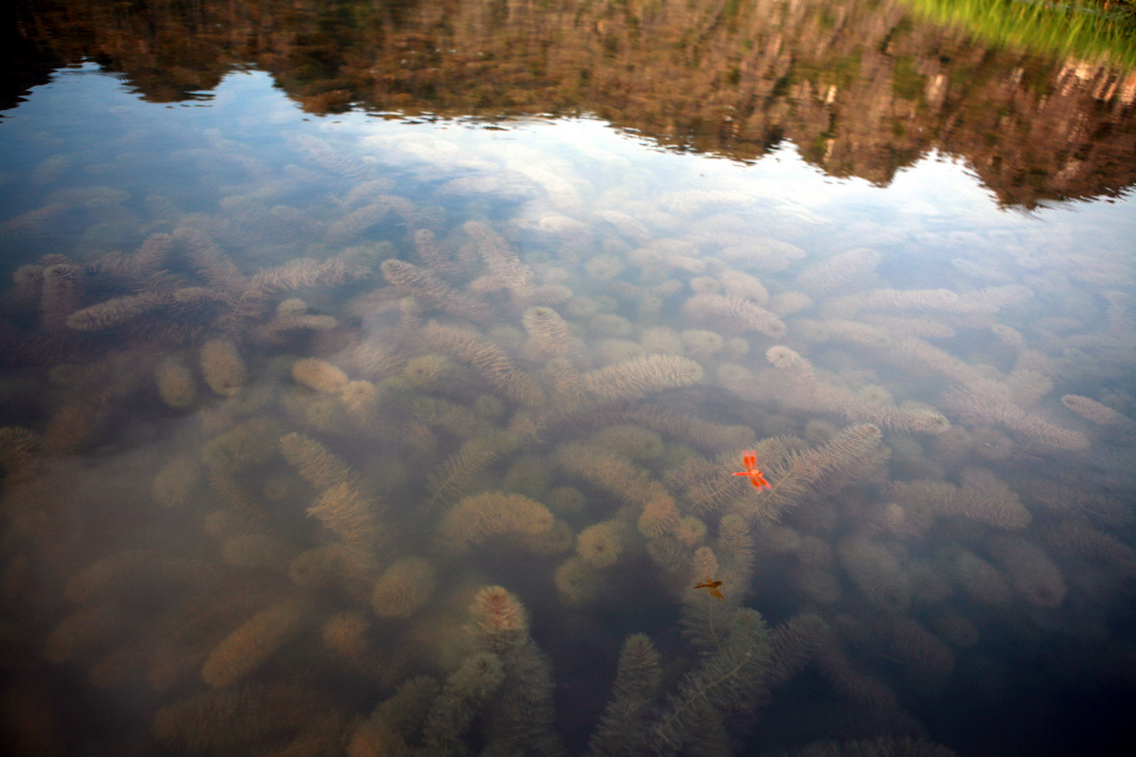 Необычно – фотографии Вьетнама
