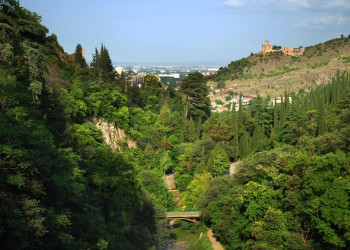 Ботанический сад, Тбилиси, Грузия – фотографии Грузии