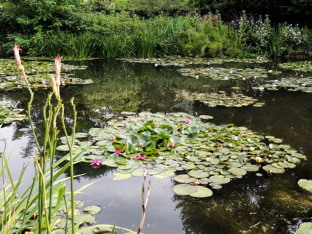 Сад Клода Моне, Живерни, Франция – фотографии Франции