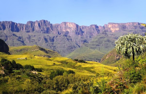 К услугам туристов в Драконовых горах кемпинги, пешеходные и конные прогулки , вертолётные экскурсии – фотографии ЮАР