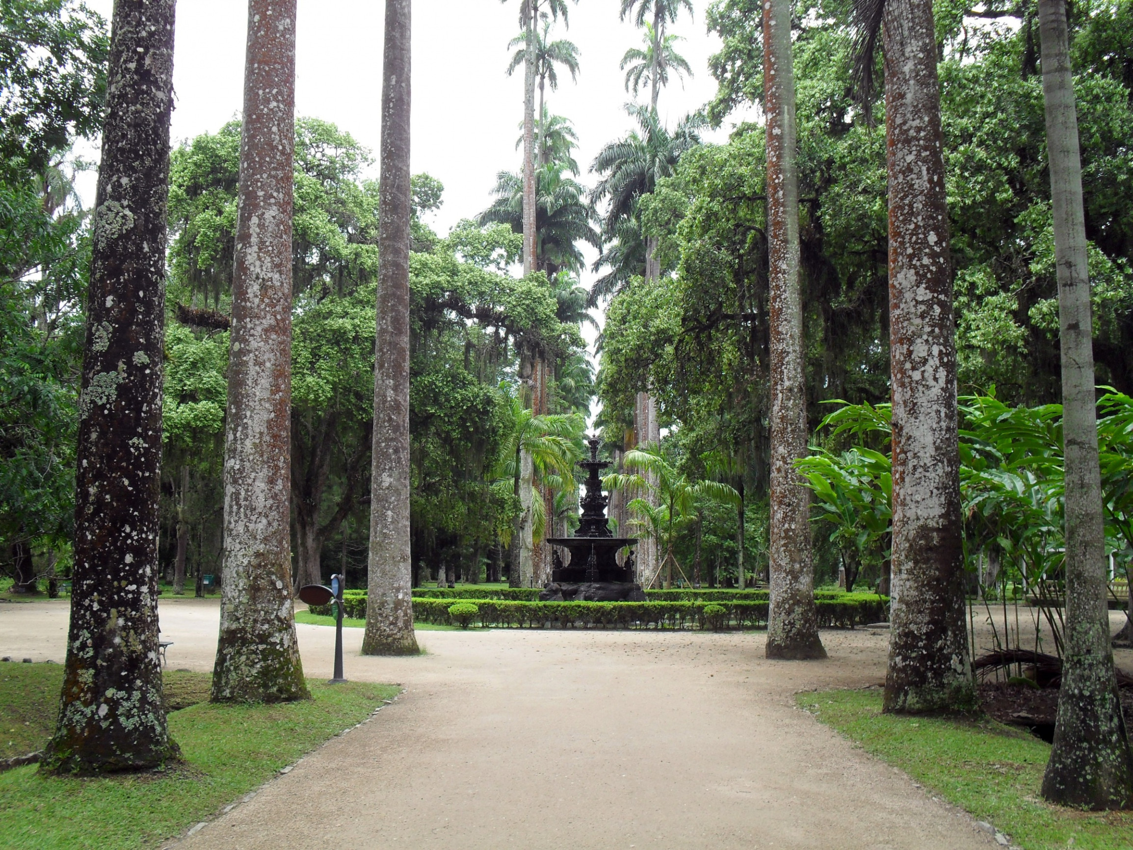 Ботанический сад – фотографии Бразилии