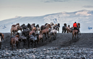 Из Рейкьявика путь в Национальный парк Ватнайёкюль составляет около 350 км  – фотографии Исландии