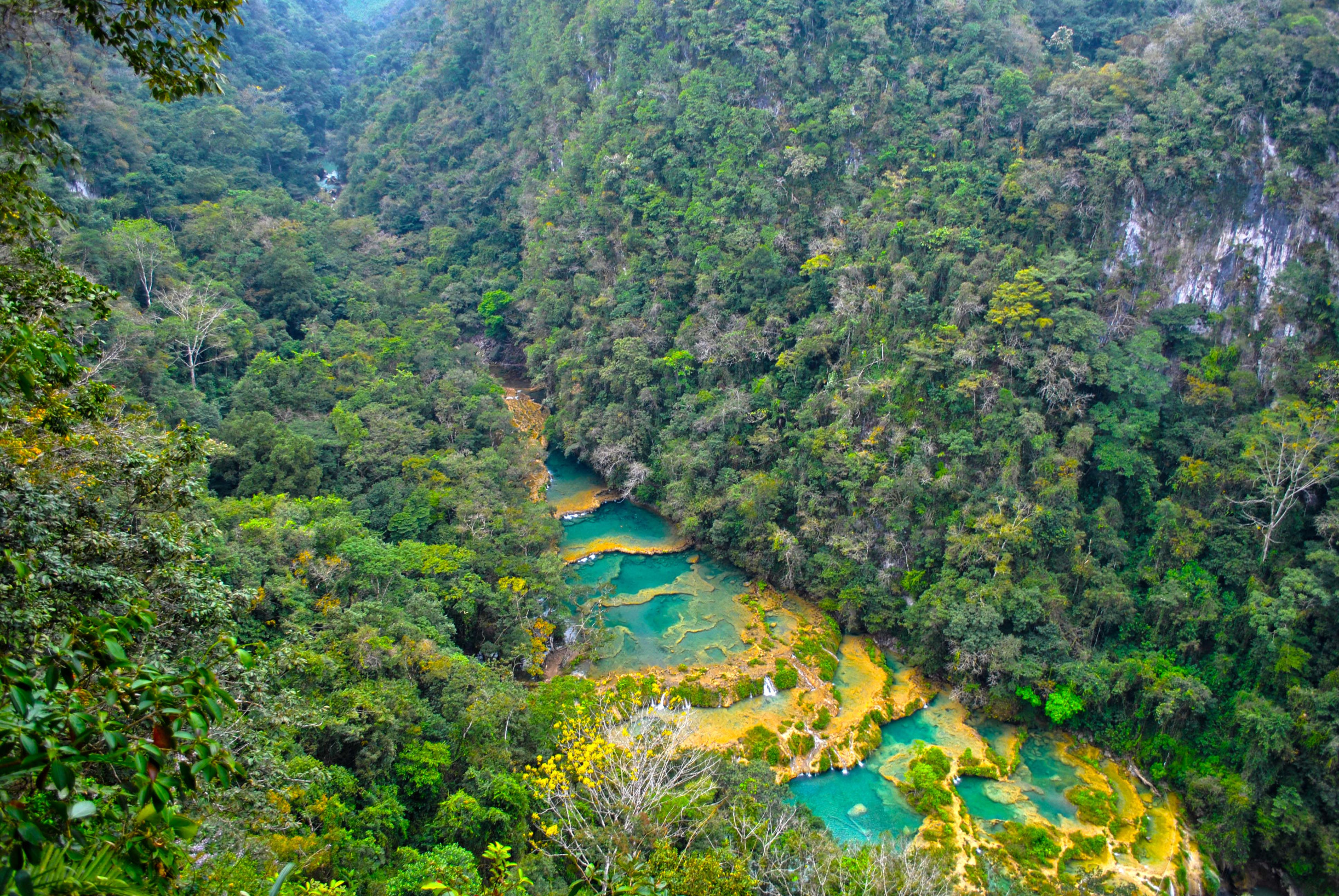 Семук Чампей (Semuc Champey) в Гватемале – фотографии Гватемалы