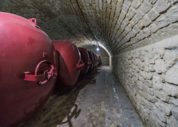 Музей с винными подвалами в молдавском замке Мими – фотографии Молдовы