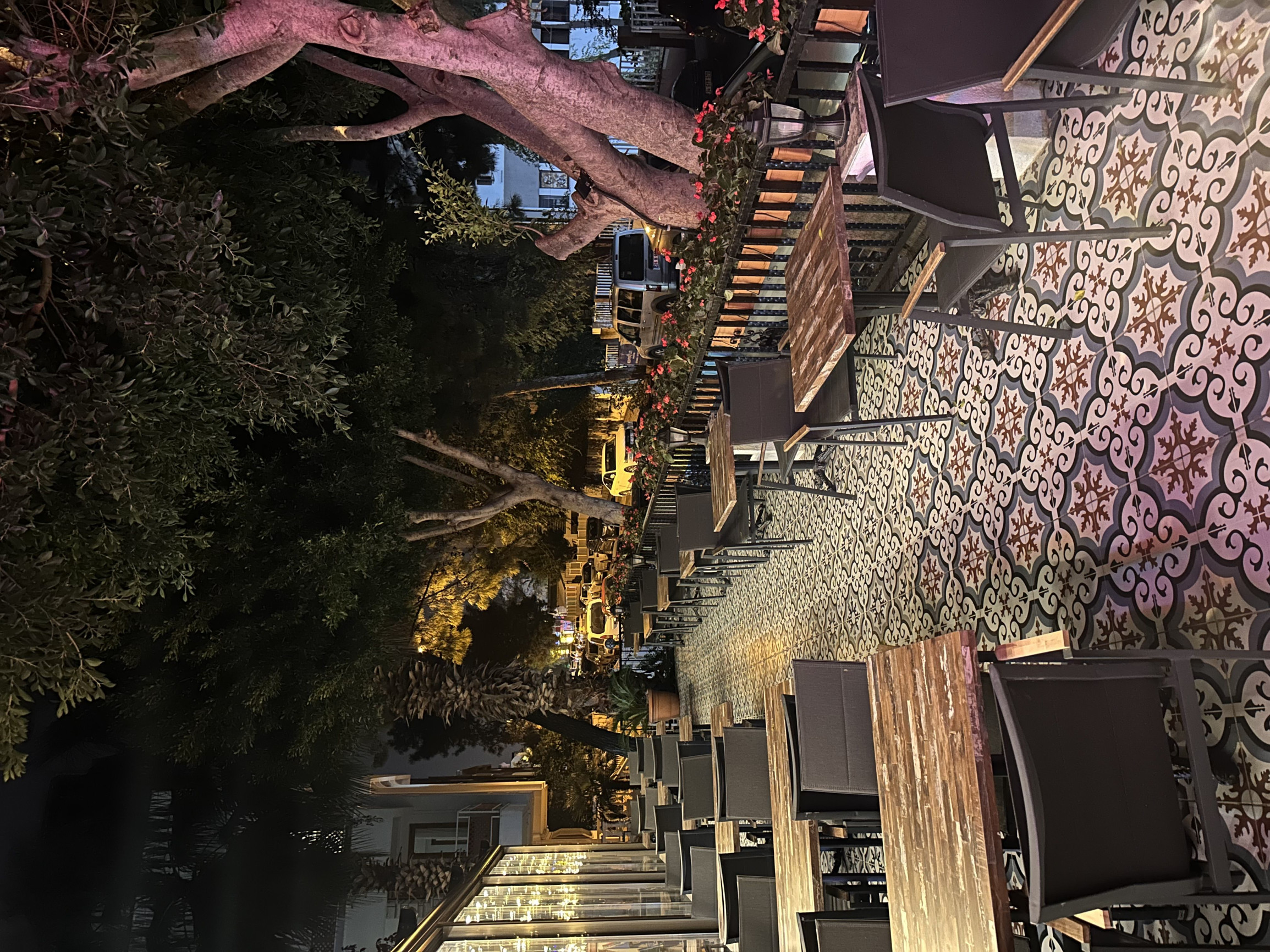 Кафе- библиотека Жираф в Кониалты  – фотографии Турции