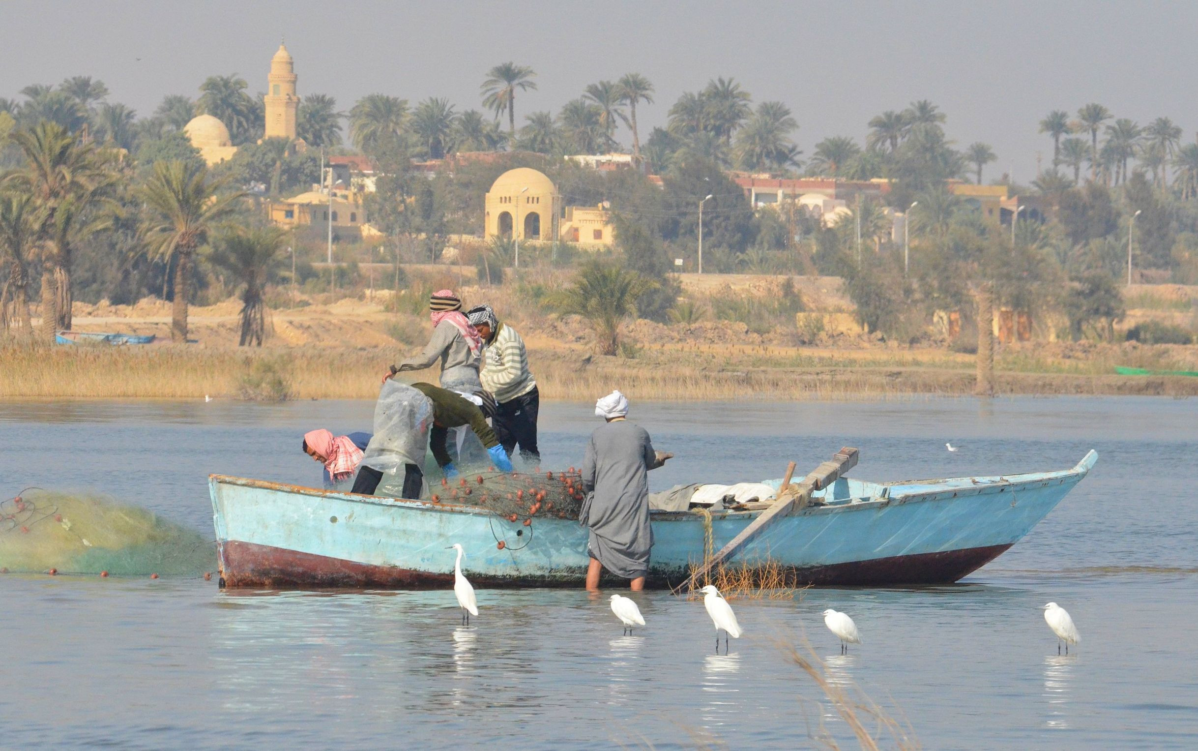 Озеро Карун 9 – фотографии Египта