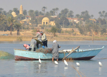 Озеро Карун 9 – фотографии Египта