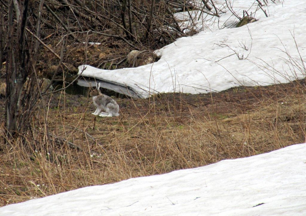 на хр.Ицыл – фотографии