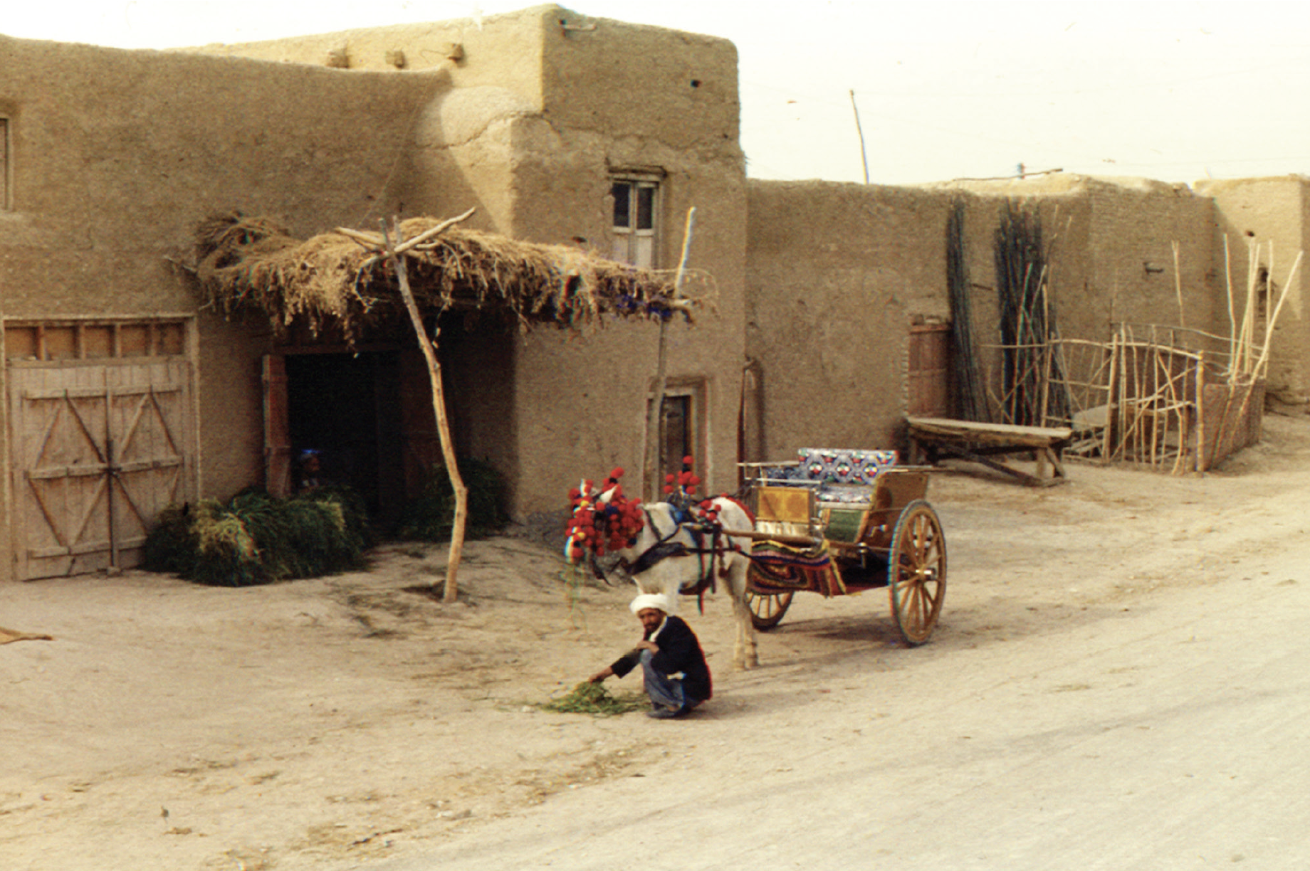 Местный житель и повозка. Кандагар. Афганистан. – фотографии Афганистана