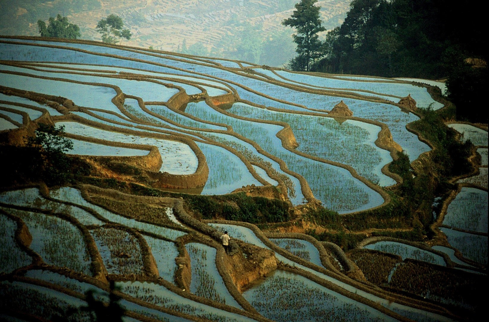 Зрелищные ландшафты рисовых террас Хунхэ-Хани в Китае – фотографии Китая