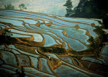 Зрелищные ландшафты рисовых террас Хунхэ-Хани в Китае – фотографии Китая