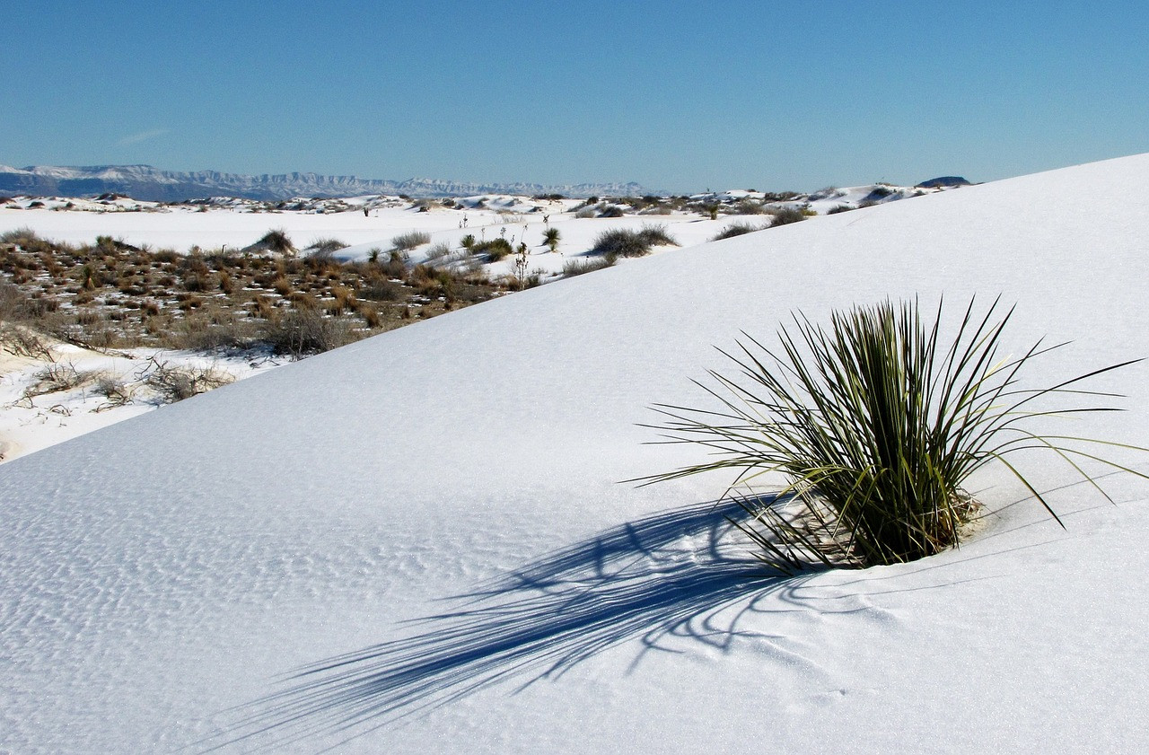 Пустыня Белых песков (WhiteSands) в США – фотографии США
