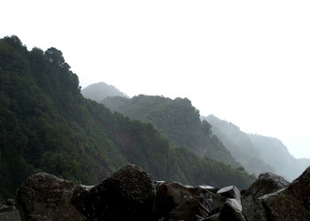 Побережье Гран'Ривьер на Мартинике – фотографии Мартиники