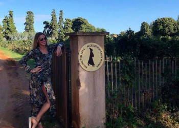 13 – фотографии