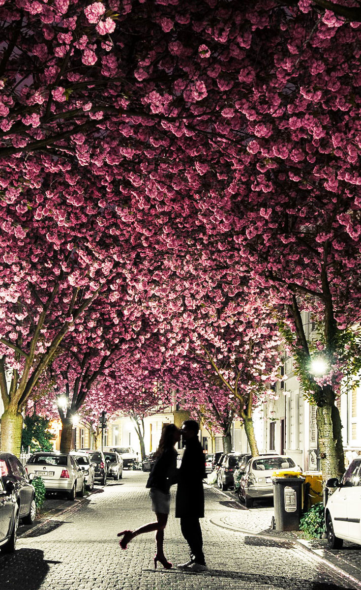 Чтобы добраться до Вишневого туннеля, начинать прогулку стоит от остановки на улице Оксфордштрассе – фотографии Германии