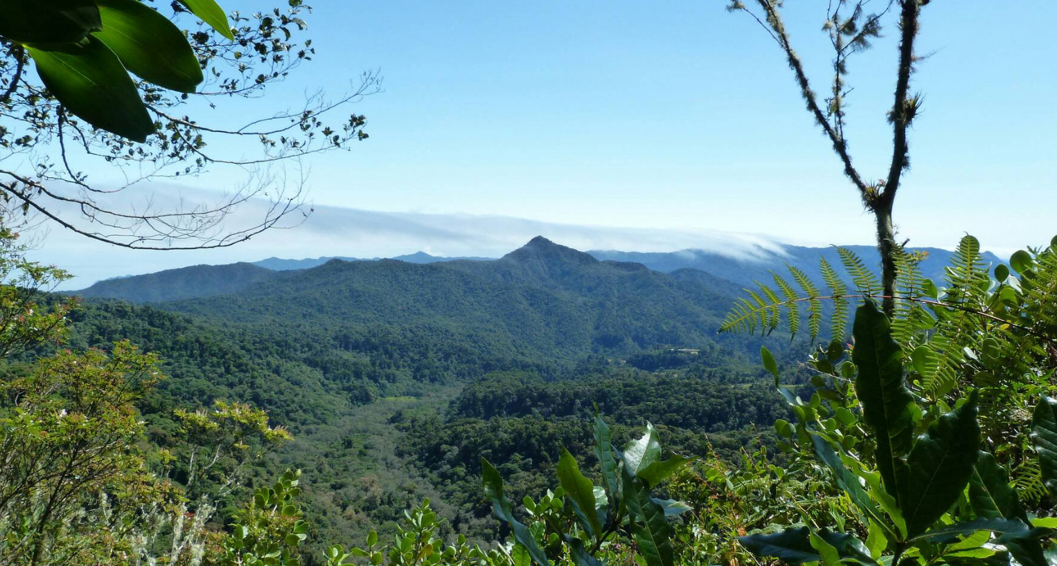 Тропа Кетцаль и национальный парк (Sendero de los Quetzales), Панама – фотографии Панамы