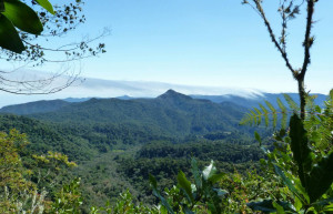 Тропа Кетцаль и национальный парк (Sendero de los Quetzales), Панама – фотографии Панамы