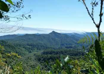 Тропа Кетцаль и национальный парк (Sendero de los Quetzales), Панама – фотографии Панамы