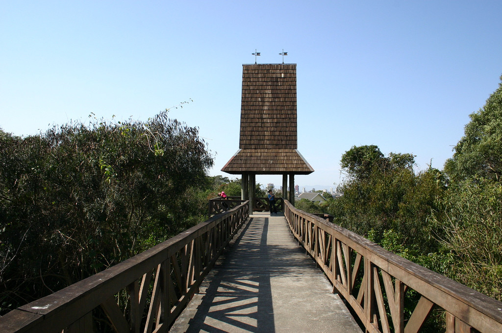 Парк Немецкий лес в Куритибе – фотографии Бразилии