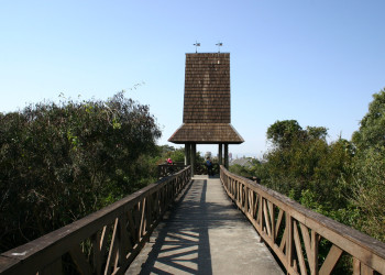 Парк Немецкий лес в Куритибе – фотографии Бразилии