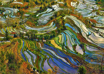 Рисовые террасы Хунхэ-Хани (Honghe Hani Rice Terraces), Китай – фотографии Китая