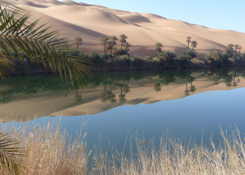 Оазис Сива 7 – фотографии Египта