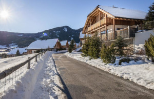 Местные домики. Маутерндорф. Австрия – фотографии Австрии