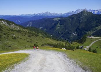 Весна в Флахау. Австрия – фотографии Австрии