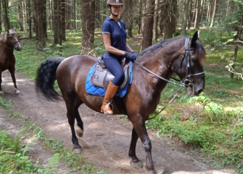 Я – фотографии Беларуси