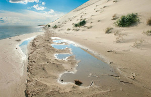 Куршская коса 6 – фотографии России