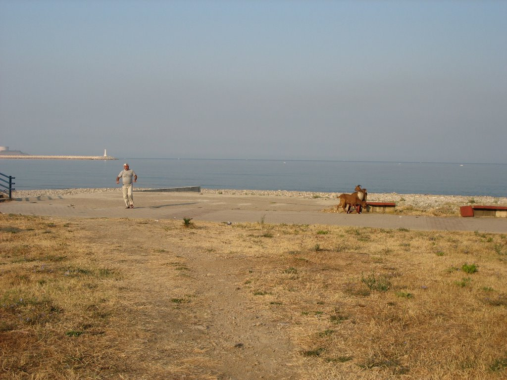 Набережная в Бар, Черногория – фотографии Черногории