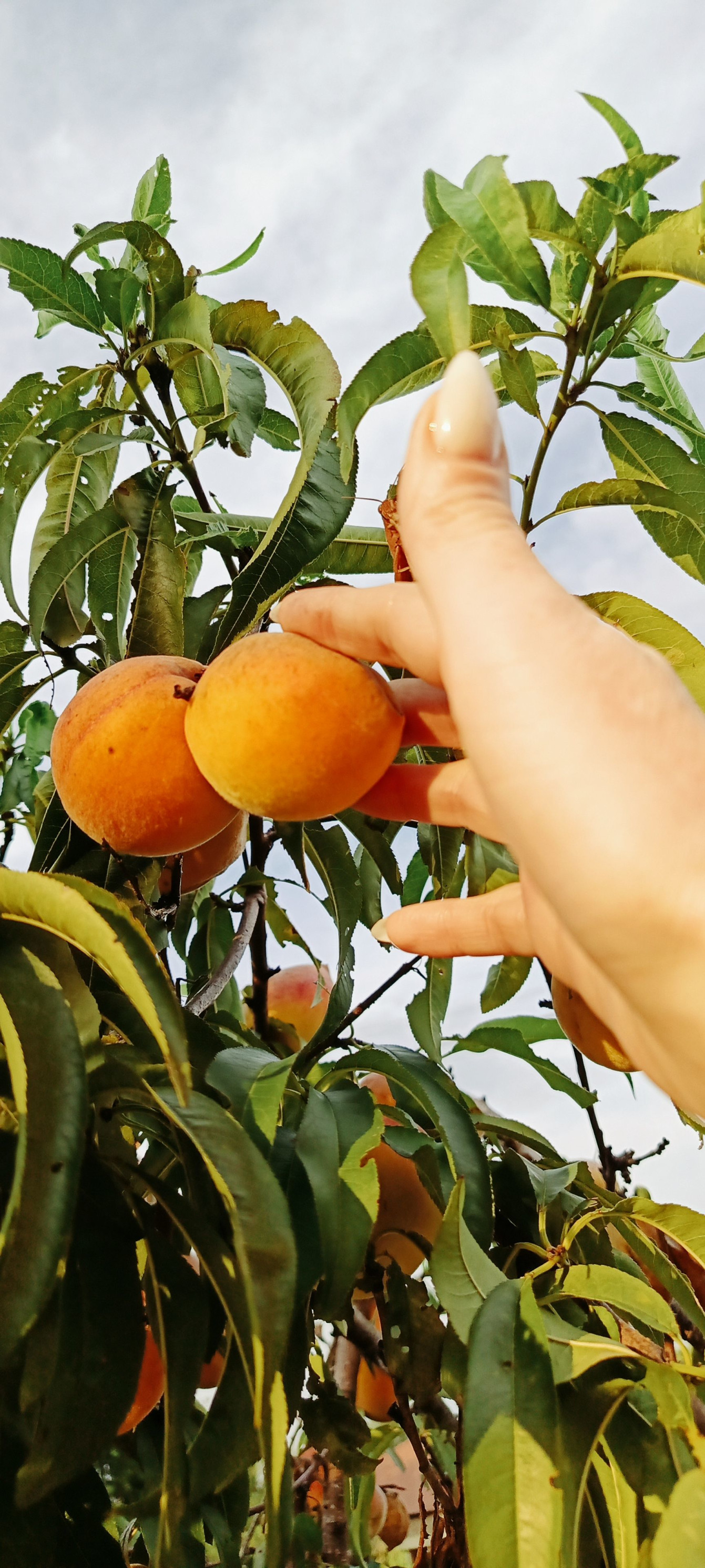 Лето – фотографии