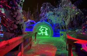 Арт-объект в парке «Таинственный лес», Кировск – фотографии России