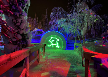 Арт-объект в парке «Таинственный лес», Кировск – фотографии России