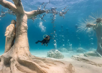 Подводный скульптурный парк Underwater Sculpture Park – фотографии Гренады