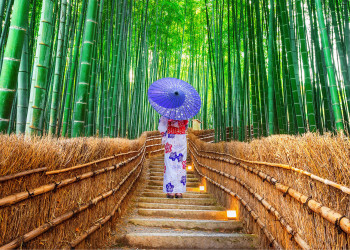 Бамбуковый лес Арасияма в городе Киото – фотографии Японии