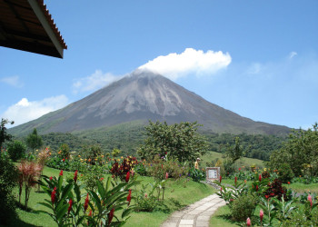 Красивейшая фауна и флора на тропе Сендеро-де-лос-Кетцалес в Панаме – фотографии Панамы