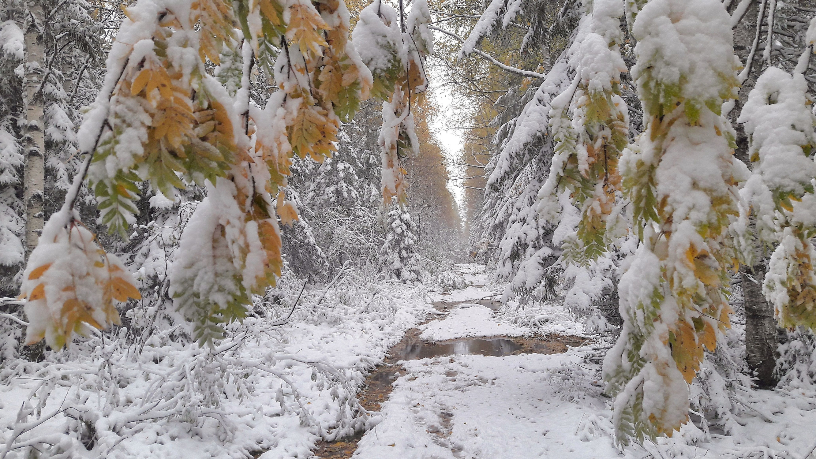 хр.Таганай – фотографии