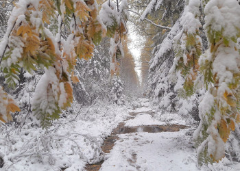 хр.Таганай – фотографии