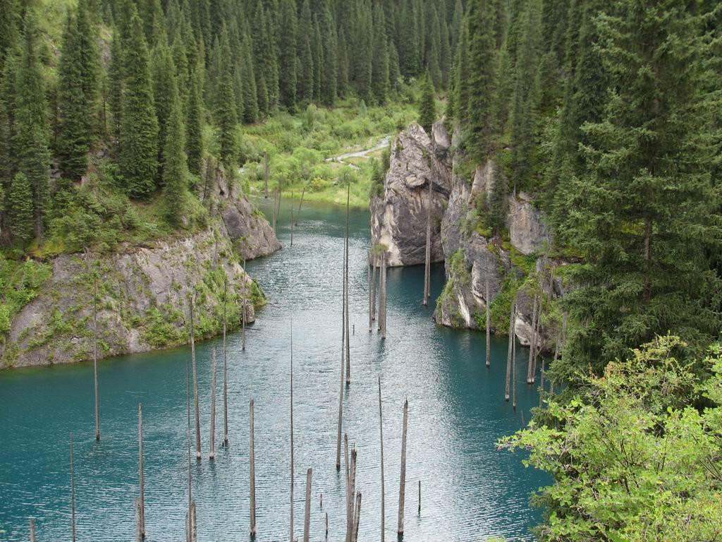 Старый лес елей утонул в озере Каинди (Lake Kaindy), Казахстан – фотографии Казахстана
