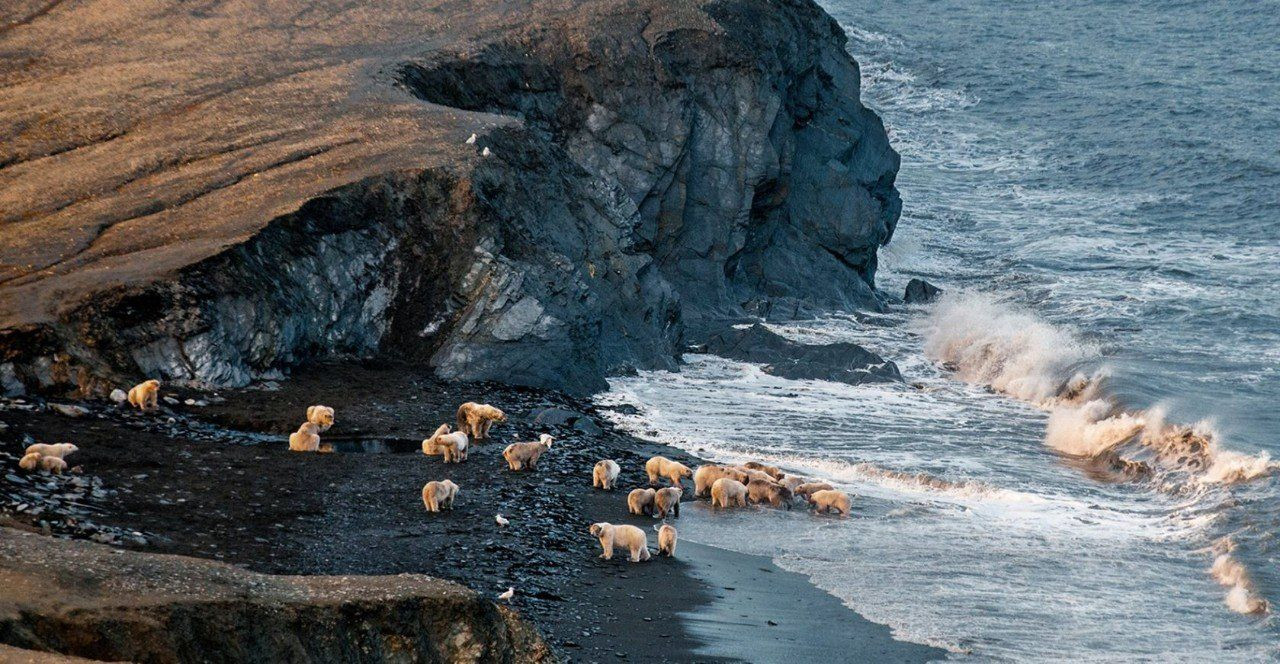 Остров Врангеля 7 – фотографии России