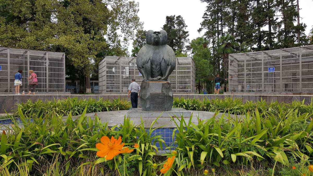 Питомник обезьян. Сухум – фотографии Абхазии