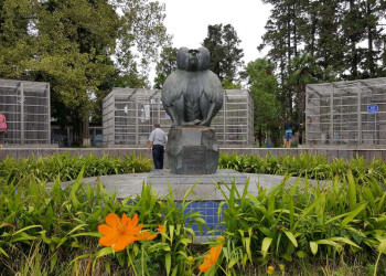 Питомник обезьян. Сухум – фотографии Абхазии