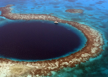 Опытных ныряльщиков ждут входы в пещеры Большой голубой дыры на глубине 70 метров – фотографии Белиза