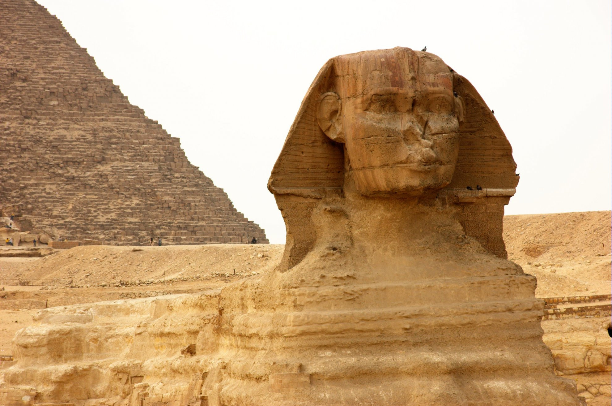 Большой сфинкс – фотографии Египта