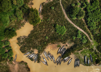 Сундарбаны (Sundarbans), крупнейший мангровый лес – фотографии Бангладеш