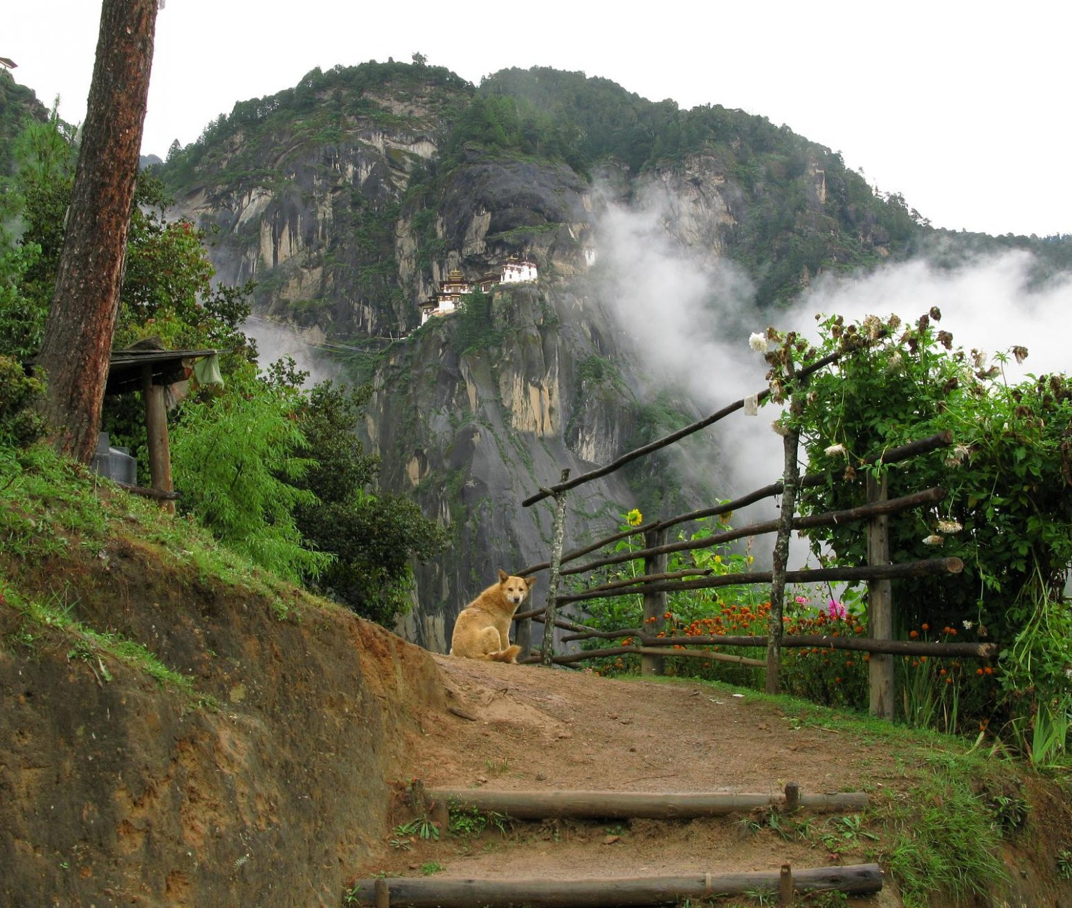 Таксанг-лакханг (Taktsang Lhakhang) – фотографии Бутана